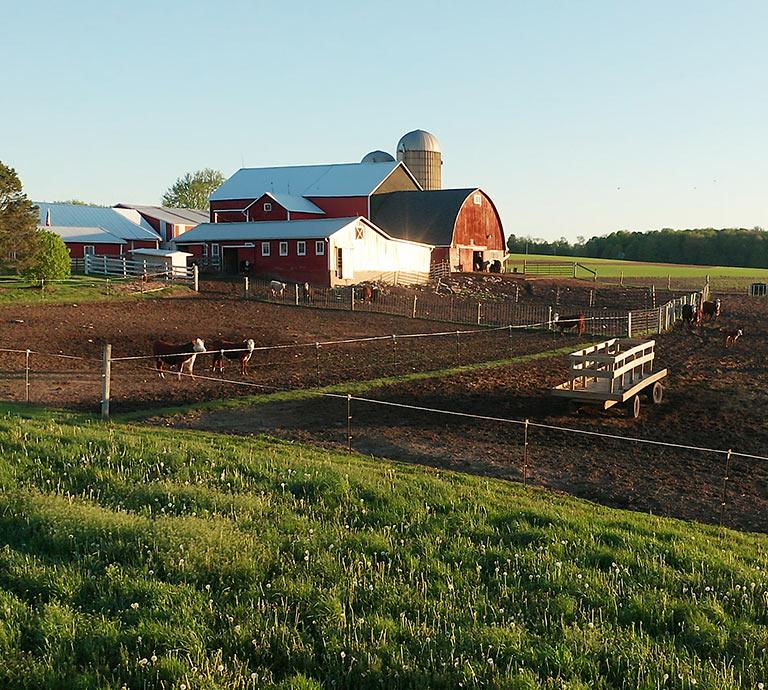 Newport, MI Farm Insurance Client Property